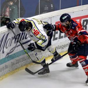 2026-01-17_rlo_2_original