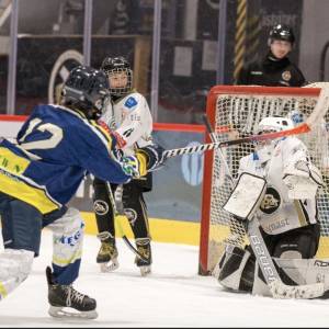 2026-01-31_u11_3_original