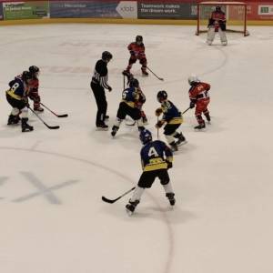 2026-01-31_u11_5_original