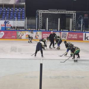 2026-02-17_u15_5_original