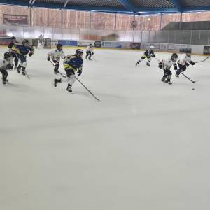 2026-02-21_u13_3_original